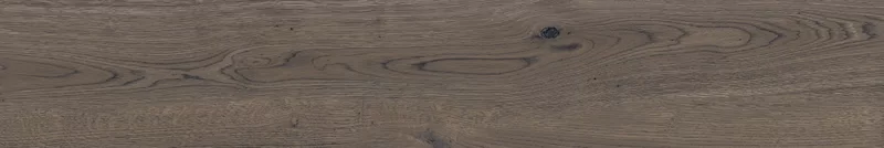 POETRY WOOD MUD 20X120_02