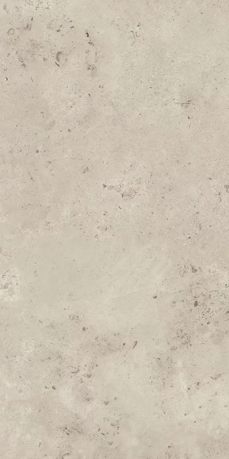 X20 CAMARGUE IVORY 60X120_04