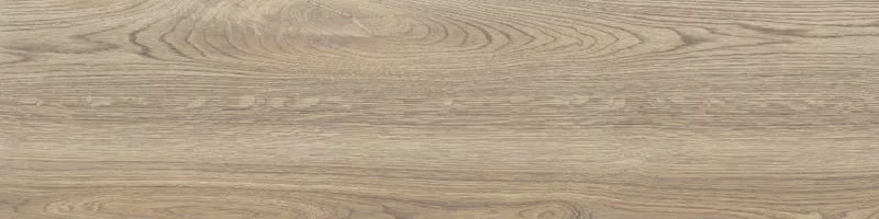 POETRY WOOD OAK 30X120_13