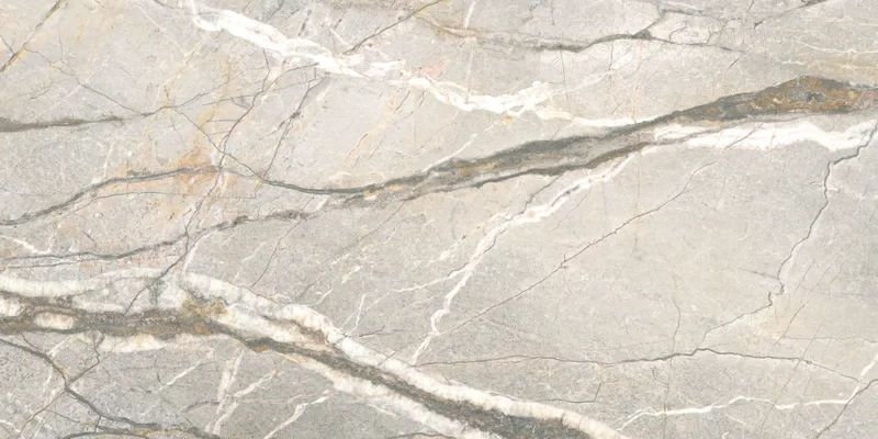 SUPREME HEDONISM SILVER ROOTS 60X120_06