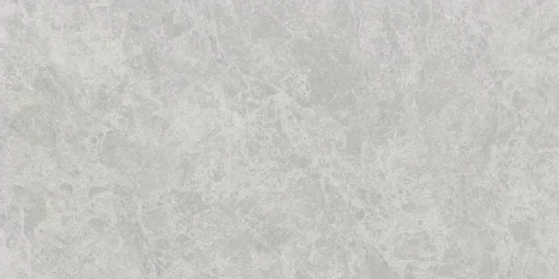 ERA DELICATE ASH 60X120_13