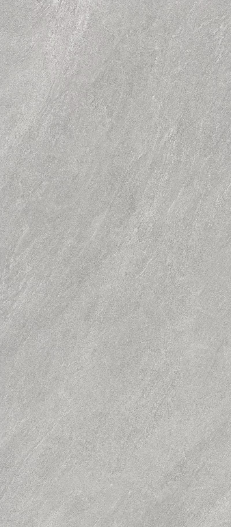 CLIFF ASH 120x280_01