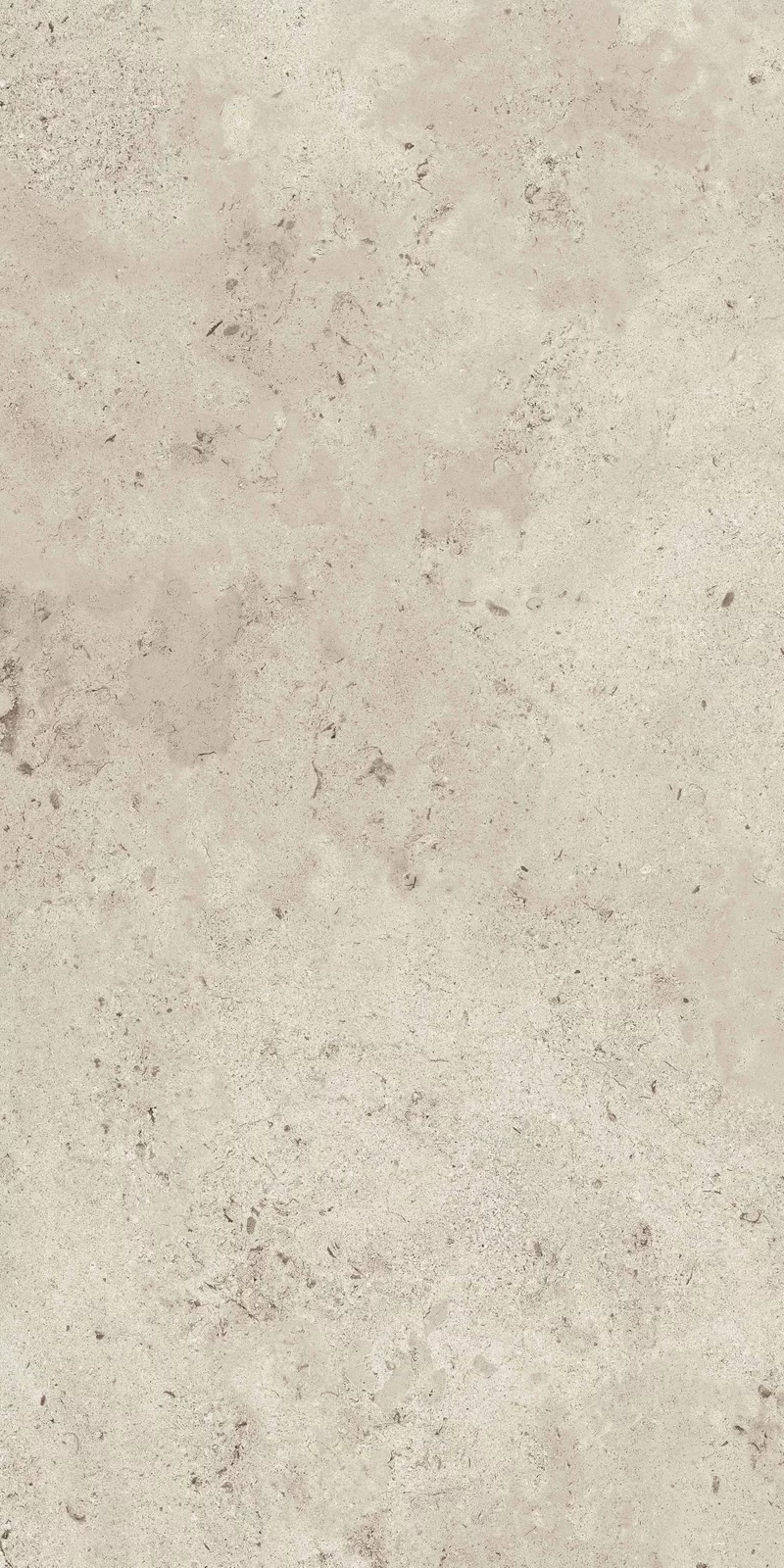 MEMENTO CAMARGUE IVORY 60X120_15