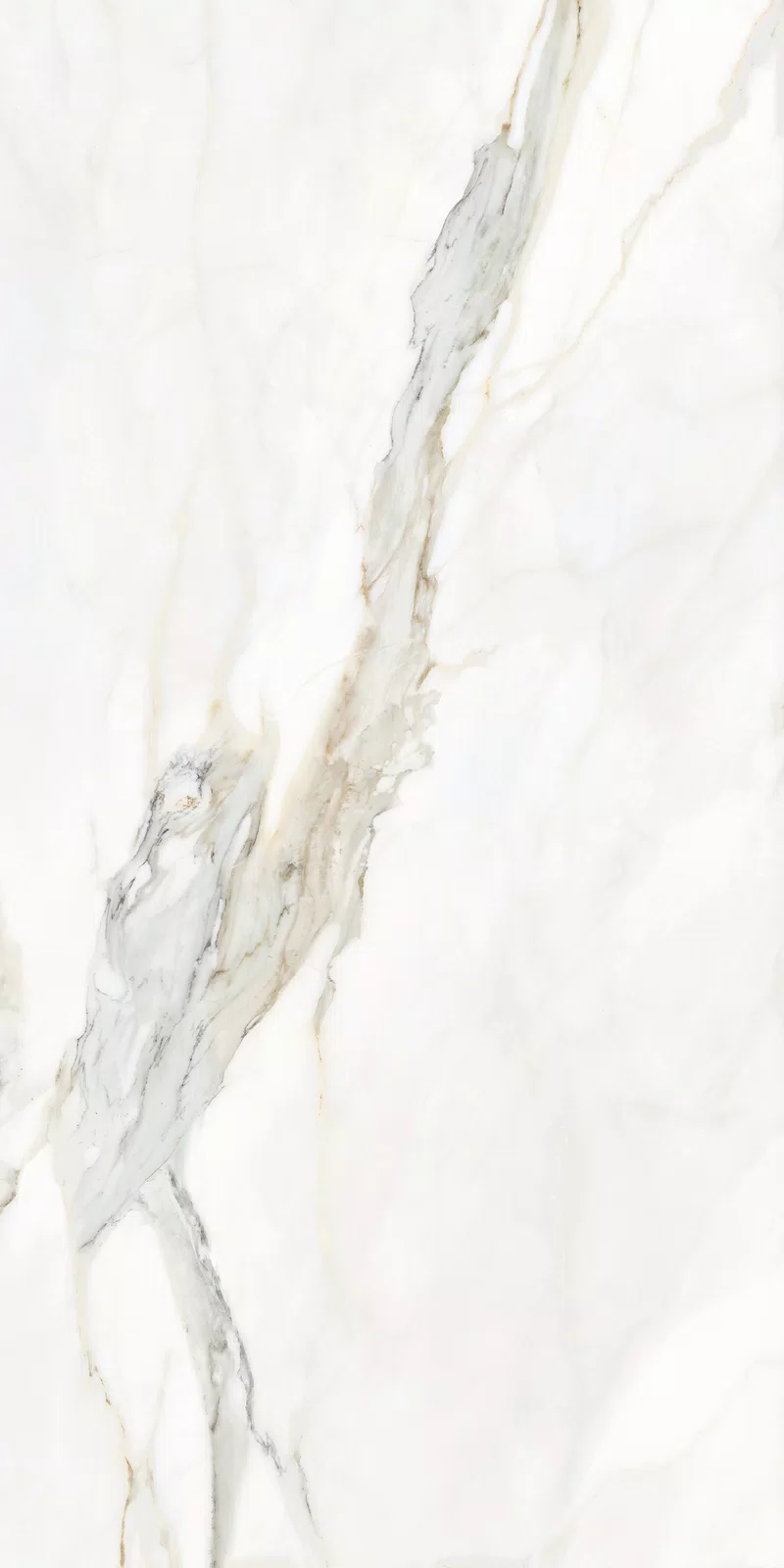 LA MARMOTECA_CALACATTA ELEGANCE_60X120_4