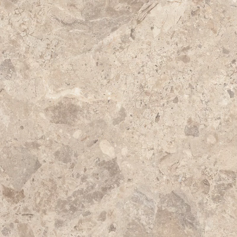 OUT.20 ERA BLOOMING TAUPE 80X80 _03