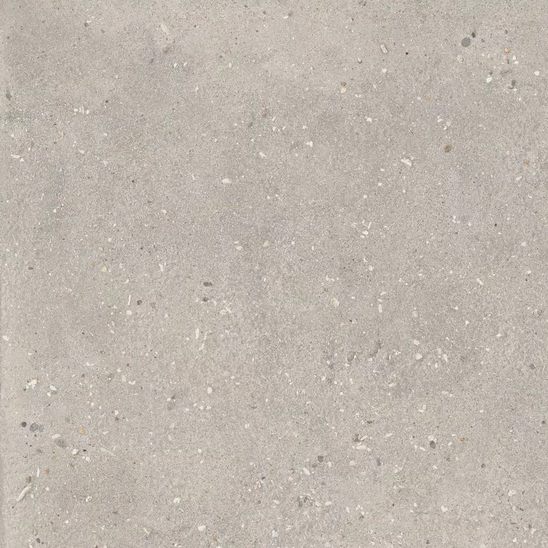 60X60 · Nat P.tech