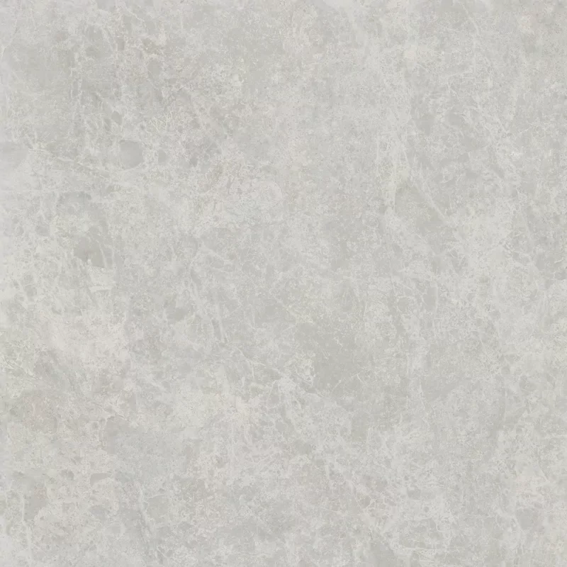 ERA DELICATE ASH 120X120_07