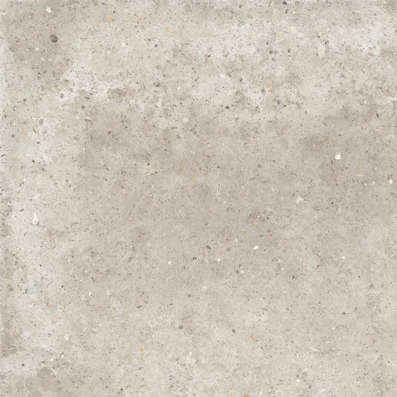 ANIMA BEIGE 60X60_04