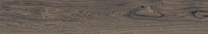 POETRY WOOD MUD 20X120_12