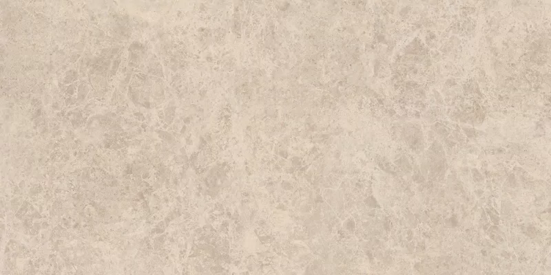 ERA DELICATE TAUPE 60X120_01