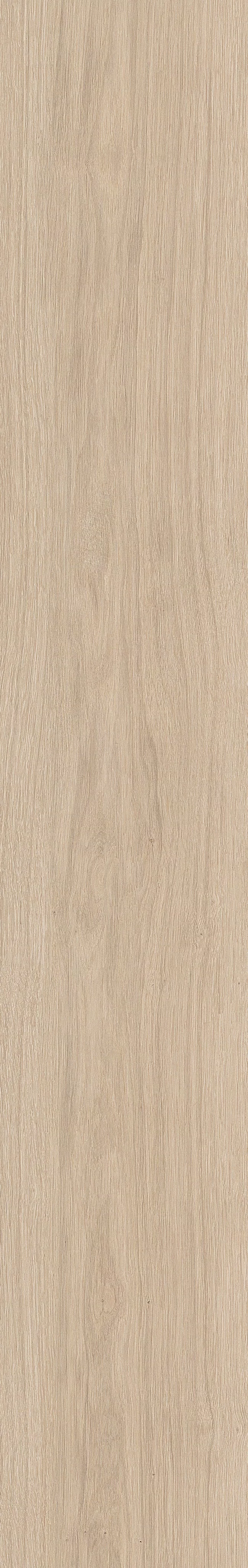 TABULAE REFINED FIENO 23,4X148_03