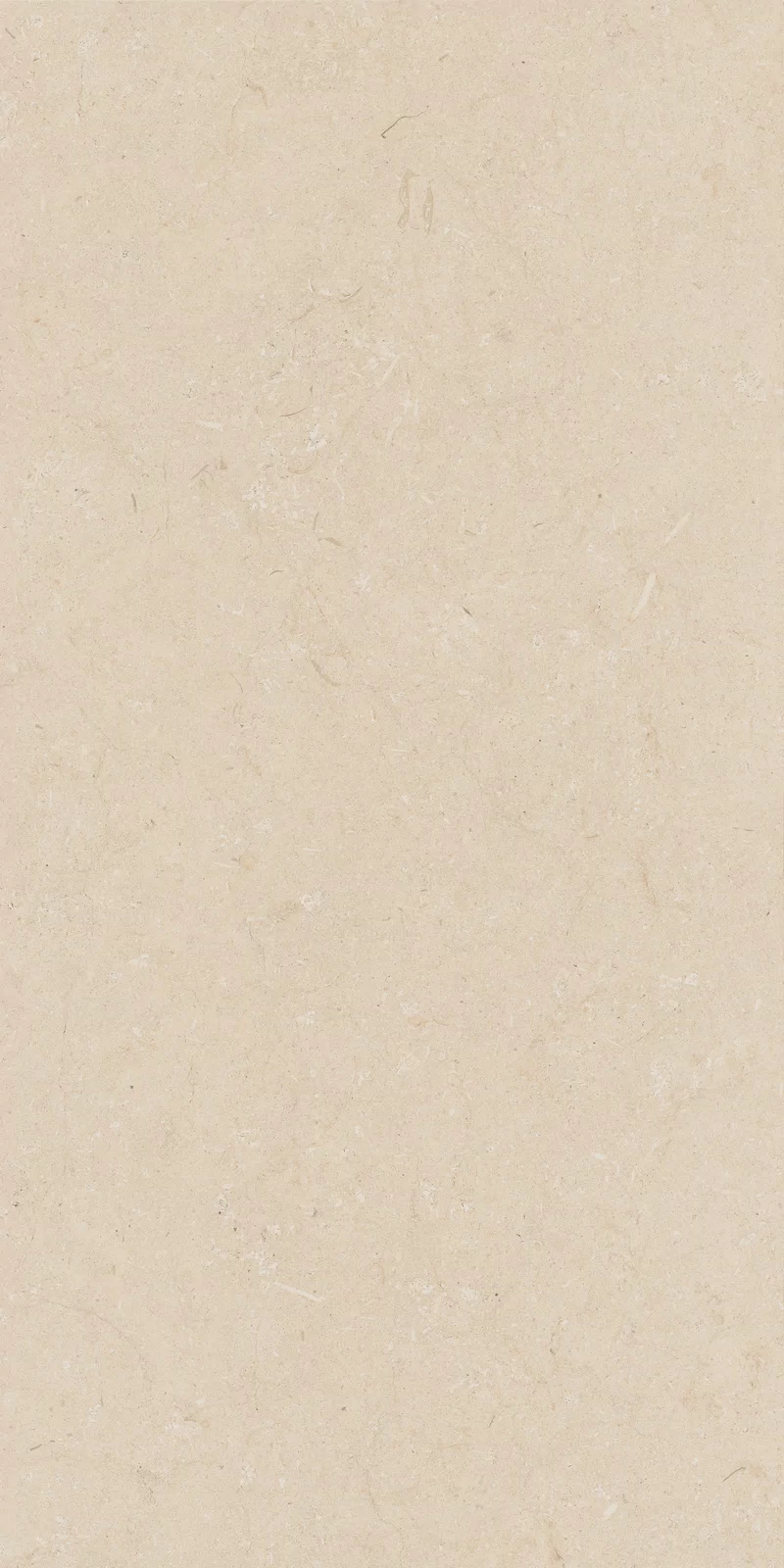 OUT.20 POETRY STONE TRANI BEIGE 60x120_05