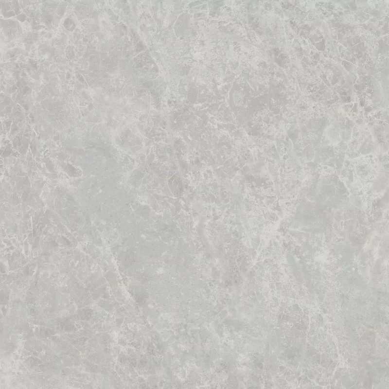 ERA DELICATE ASH 60X60_06