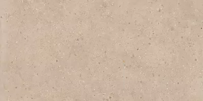 Beige Cosmopolitan tile, cement effect, 60x120, Nat P.tech finish.