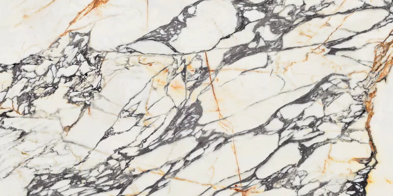 SUPREME TREASURE CORCHIA GOLD 60X120_14