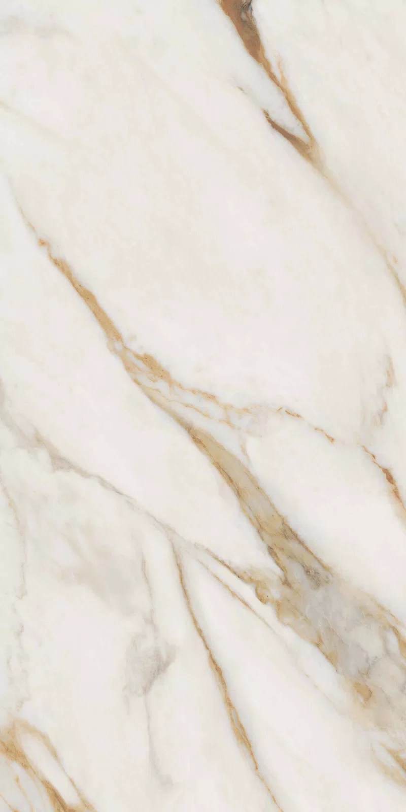 NOBILE CALACATTA 60X120_15
