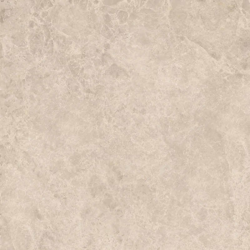 ERA DELICATE TAUPE 80X80_04