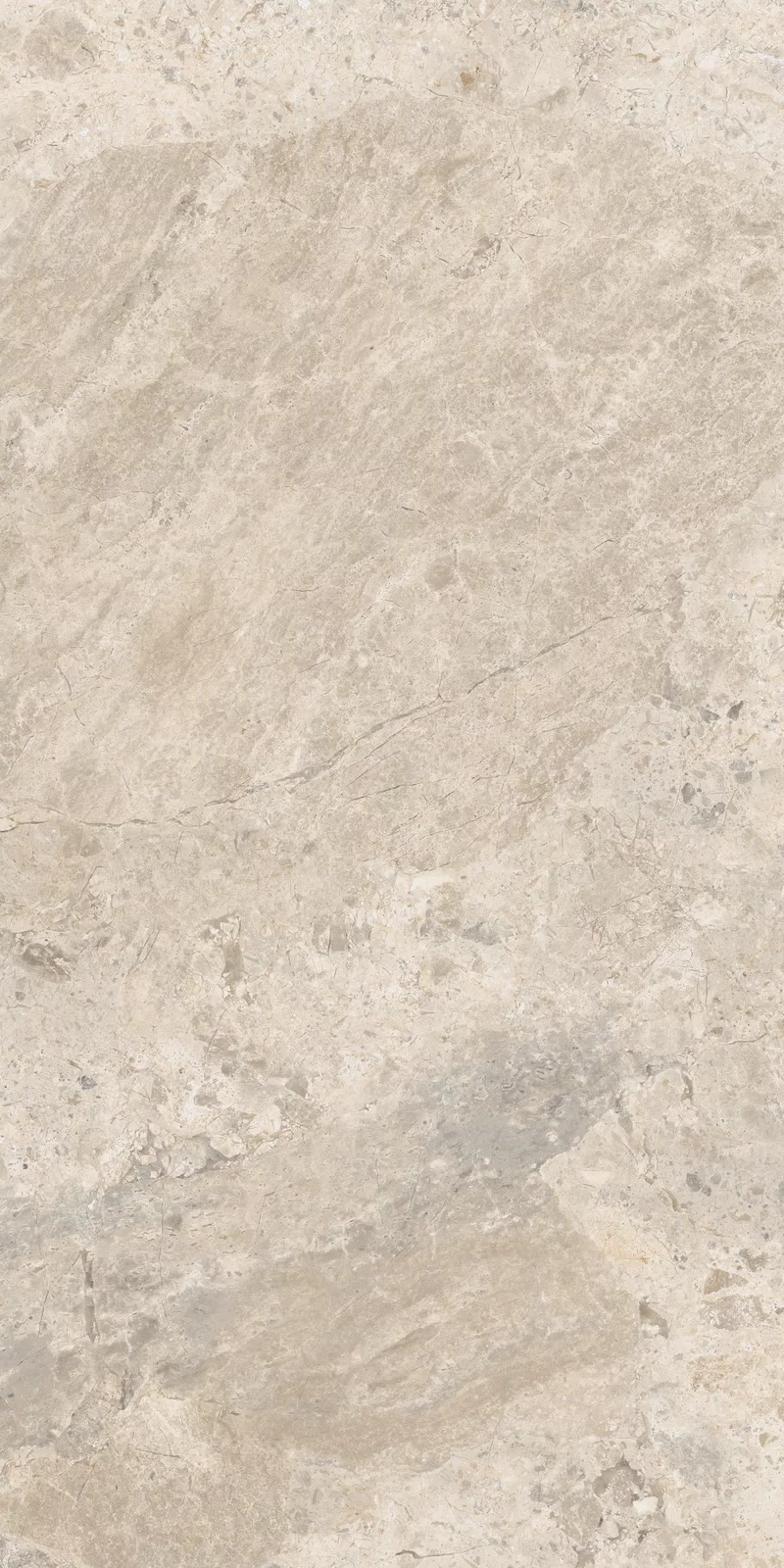 OUT.20 ERA BLOOMING BEIGE 60X120 _05