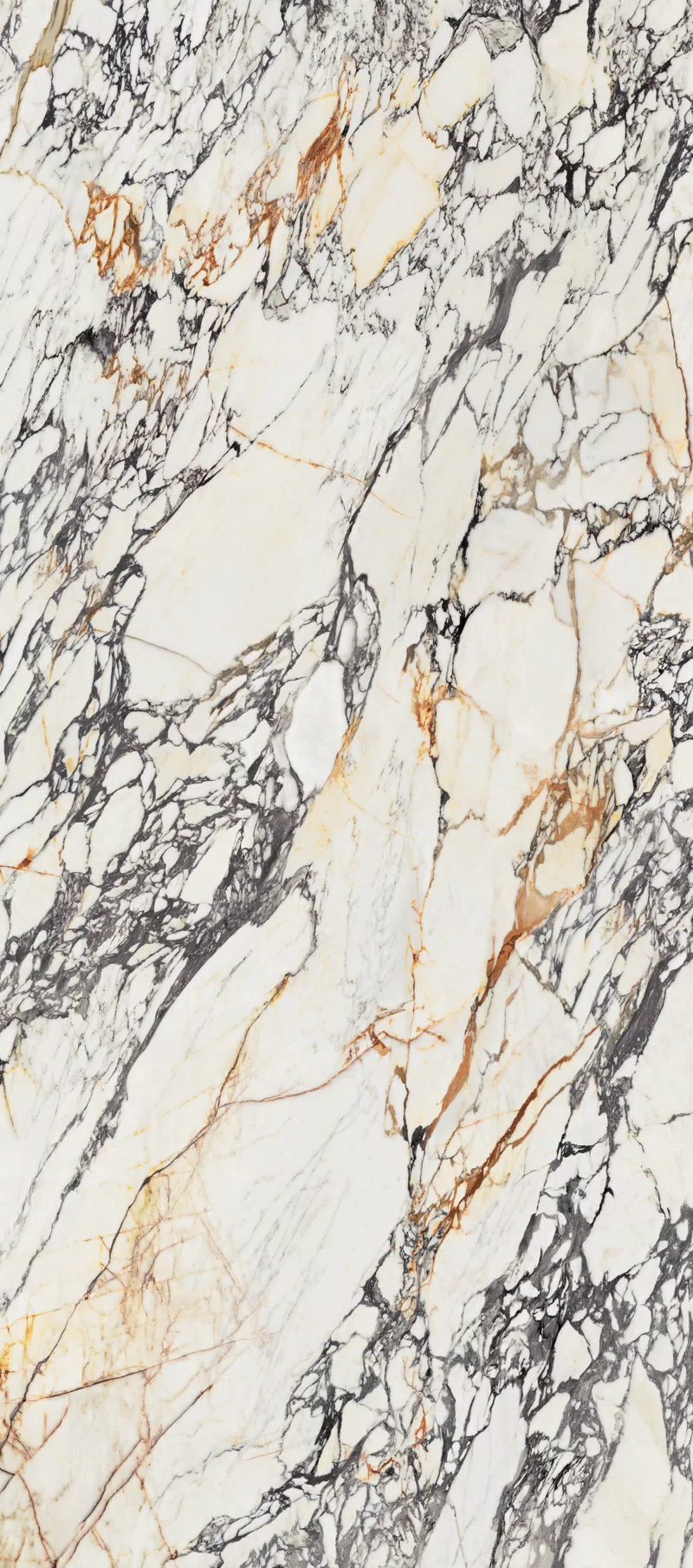 SUPREME TREASURE CORCHIA GOLD 120X280_03