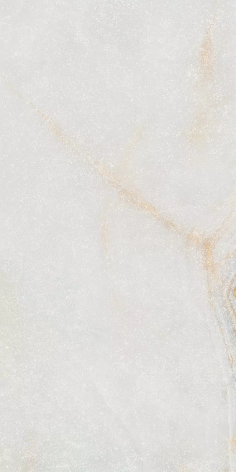 ETEREA ICE RAW 60x120 NAT_18