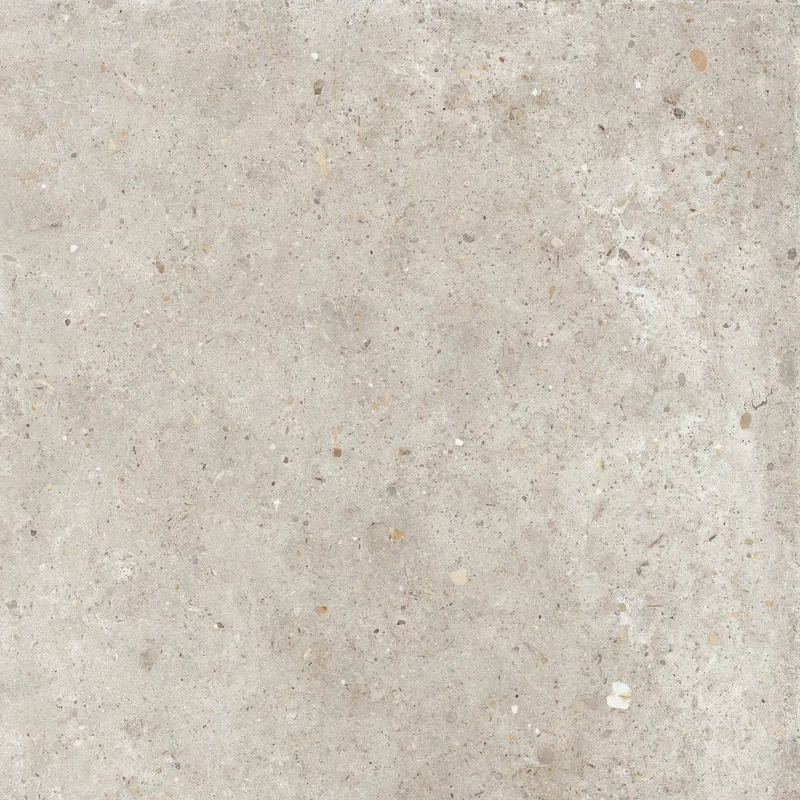 ANIMA BEIGE 60X60_11