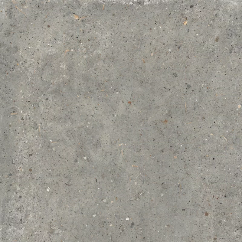 ANIMA FANGO 60X60_12