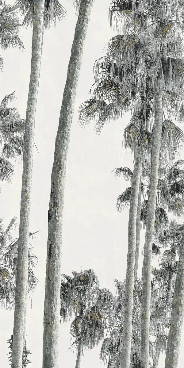 Wide&Style On Demand Hollywood Fliese von ABK in Weiß, Oberfläche Natürlich, 160x320, Stärke 6 mm.