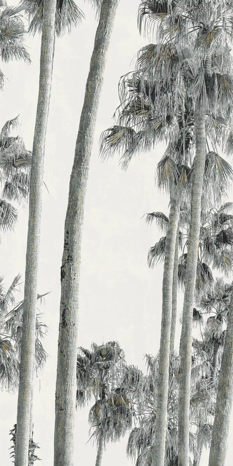 Wide&Style On Demand Hollywood Fliese von ABK in Weiß, Oberfläche Natürlich, 160x320, Stärke 6 mm.