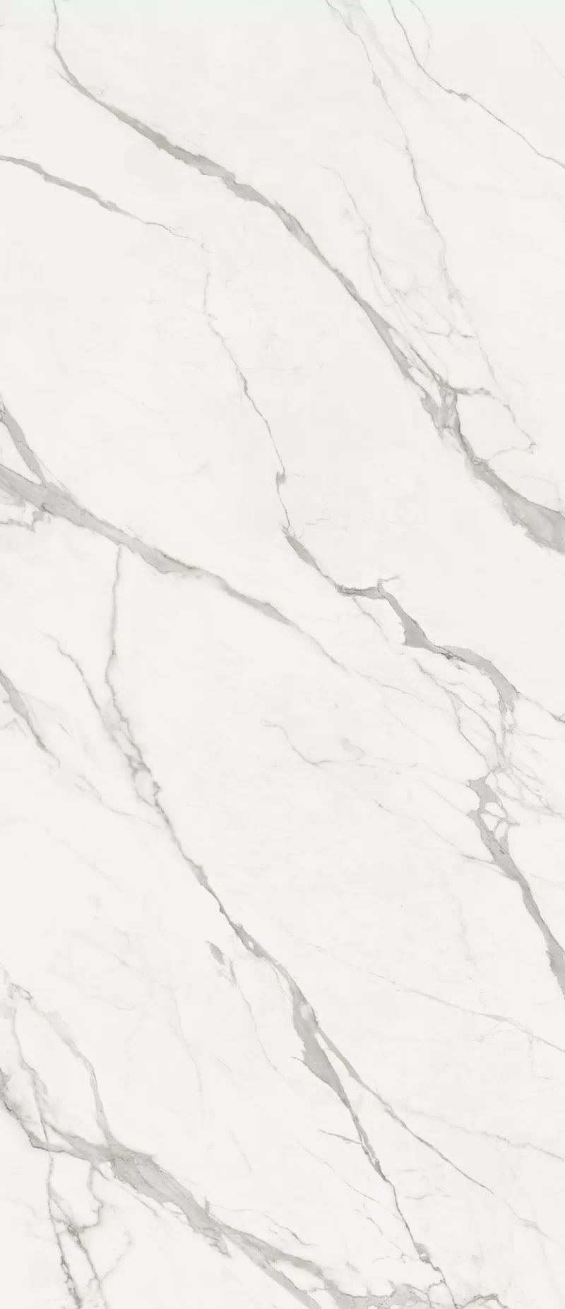 MARMOTECA_STATUARIO PREMIUM_120x280_2