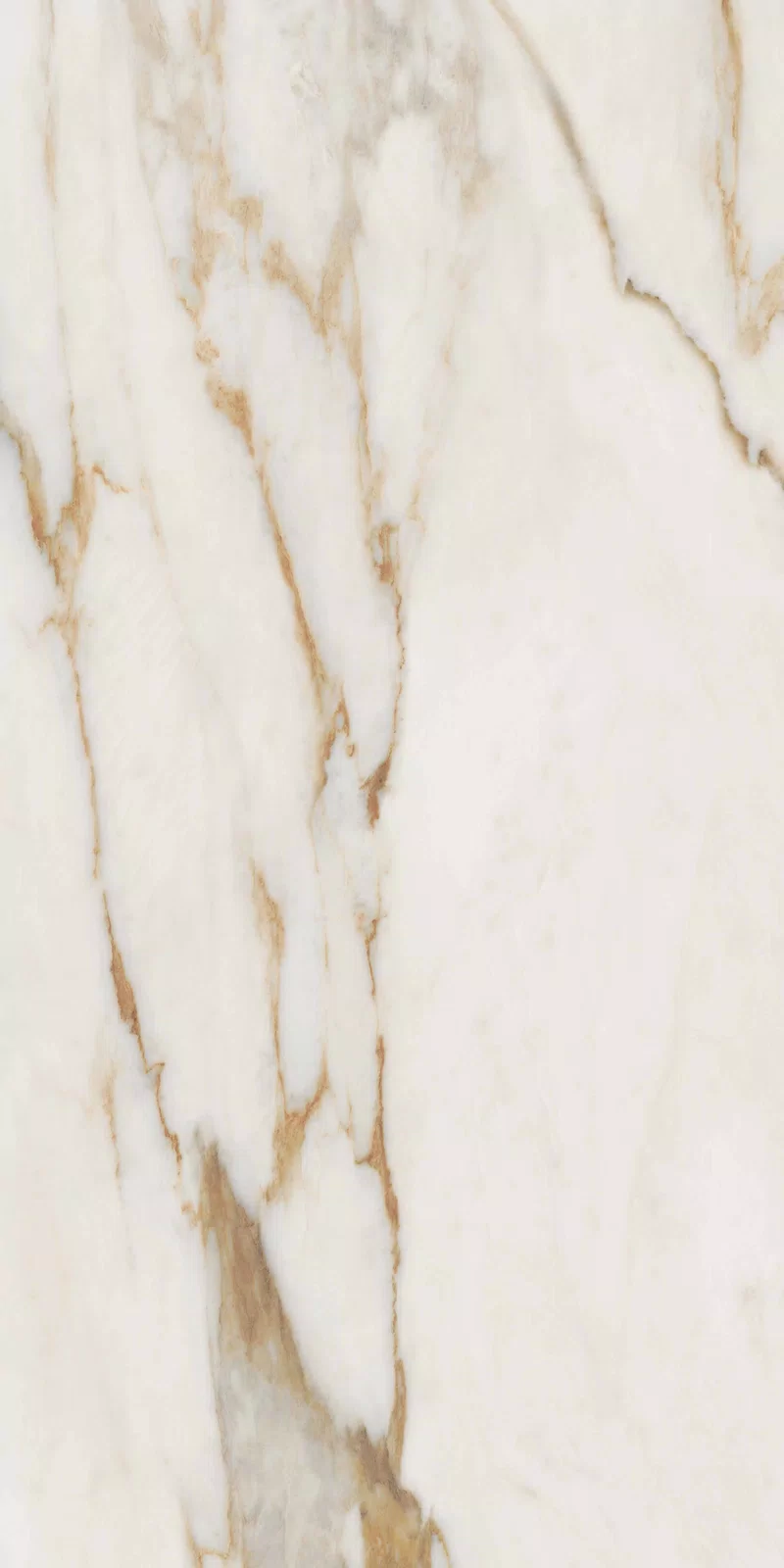 NOBILE CALACATTA 60X120_07