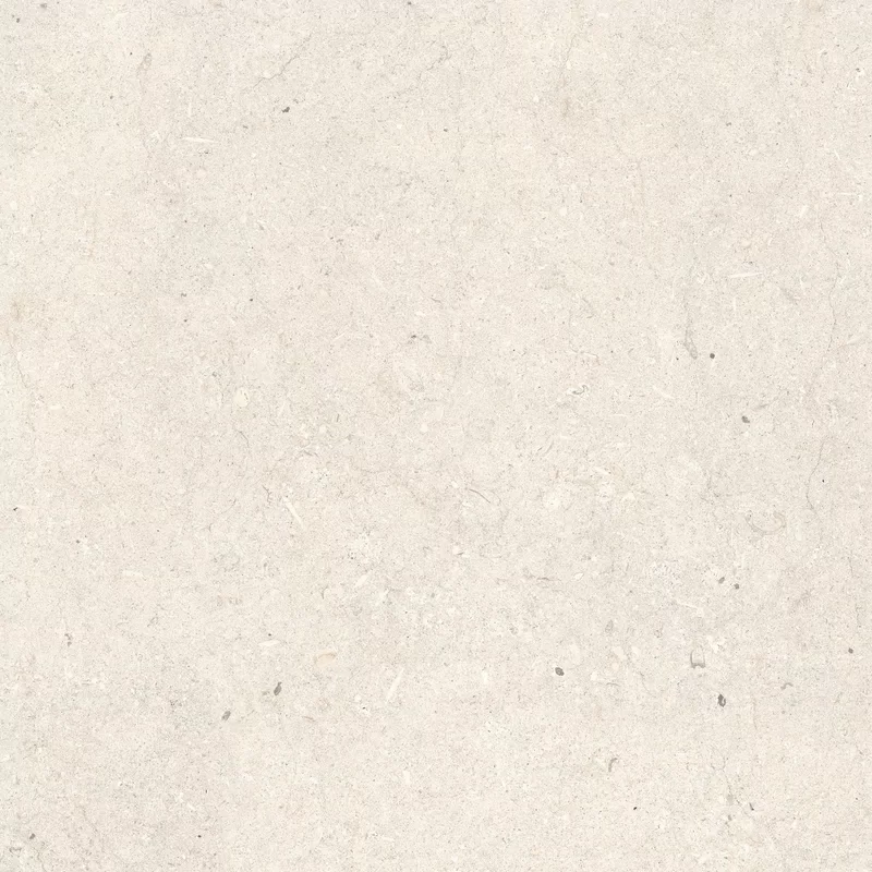 POETRY STONE TRANI IVORY 60X60_17