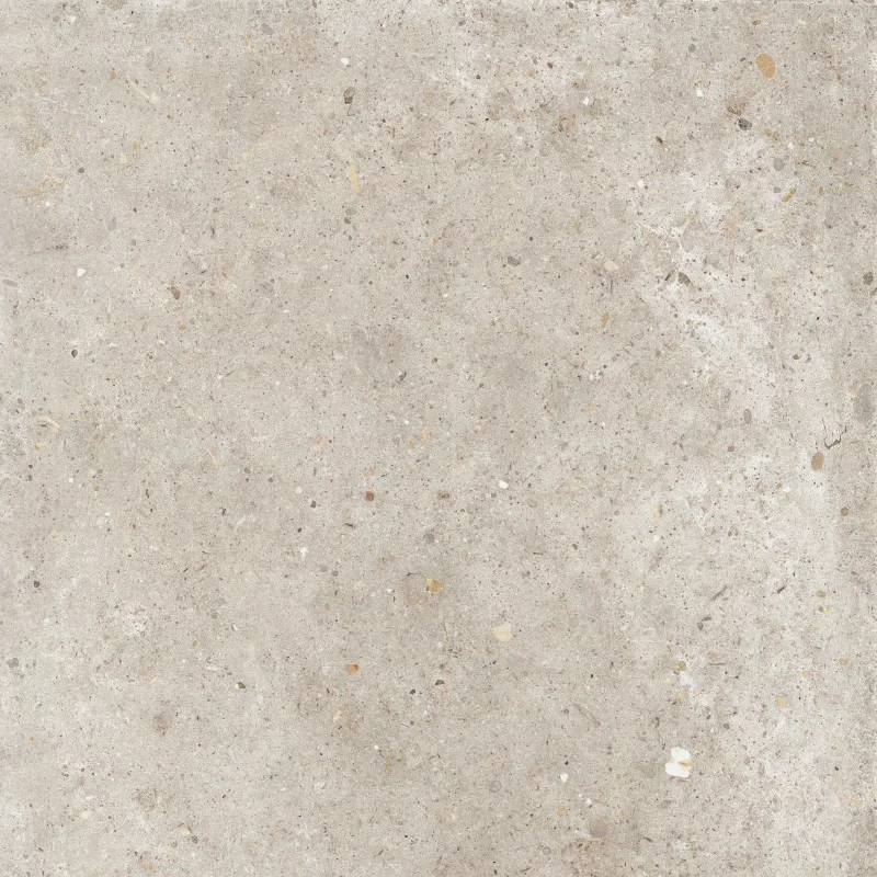 ANIMA BEIGE 60X60_10