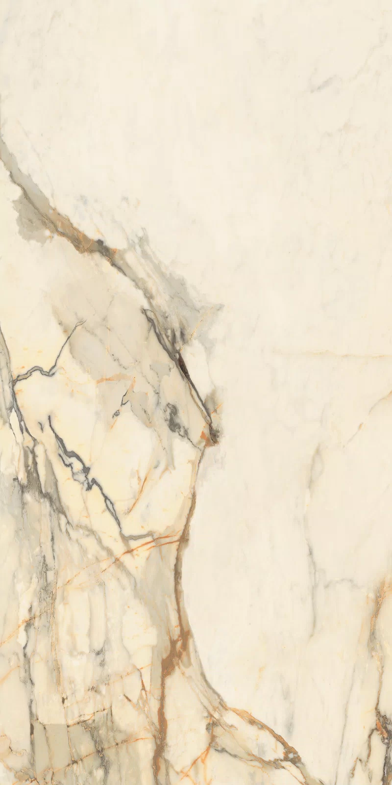 LA MARMOTECA_ANTIQUE BROWN_60x120_13