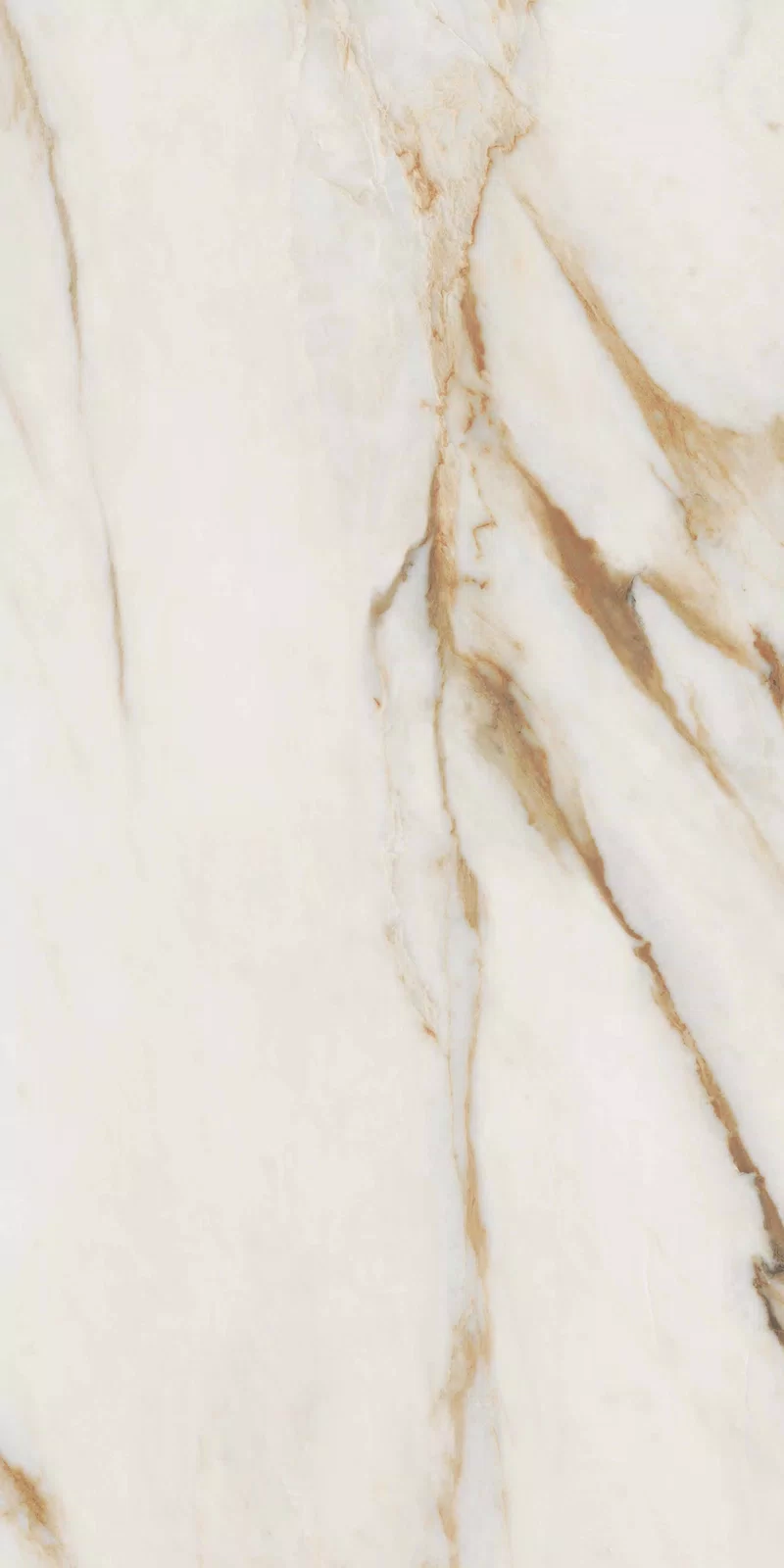 NOBILE CALACATTA 60X120_02