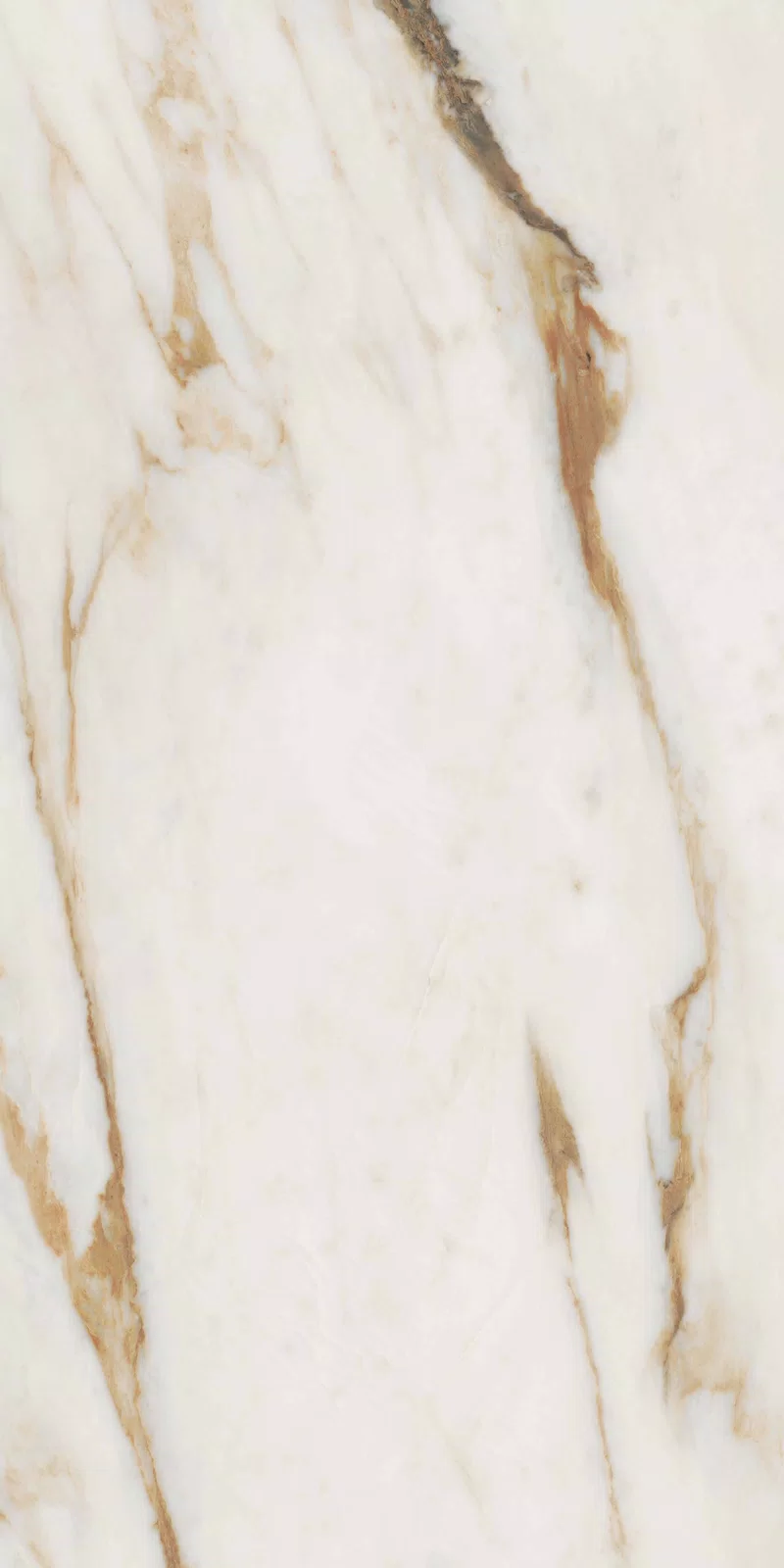 NOBILE CALACATTA 60X120_04