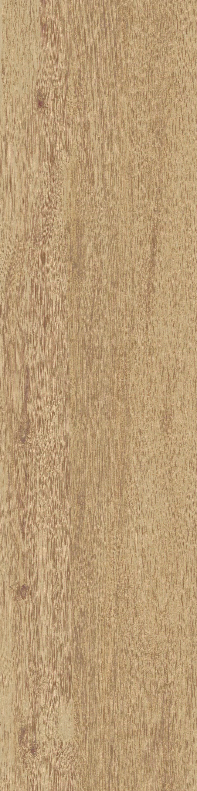 JUST NATURE_BEIGE_MEDIO_30x120_2