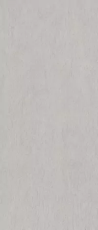 Stein-Optik Grau Fliese aus der Kollektion Poetry Stone Reloaded von ABK, Format 120x280, Oberfläche Nat P.tech, Kante Rettificato.