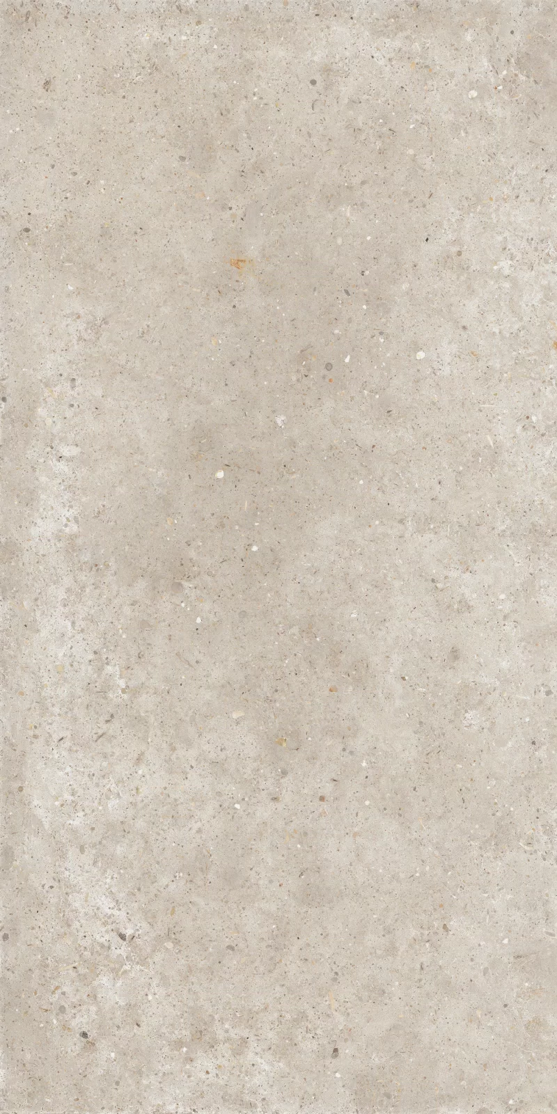ANIMA BEIGE 60X120_11