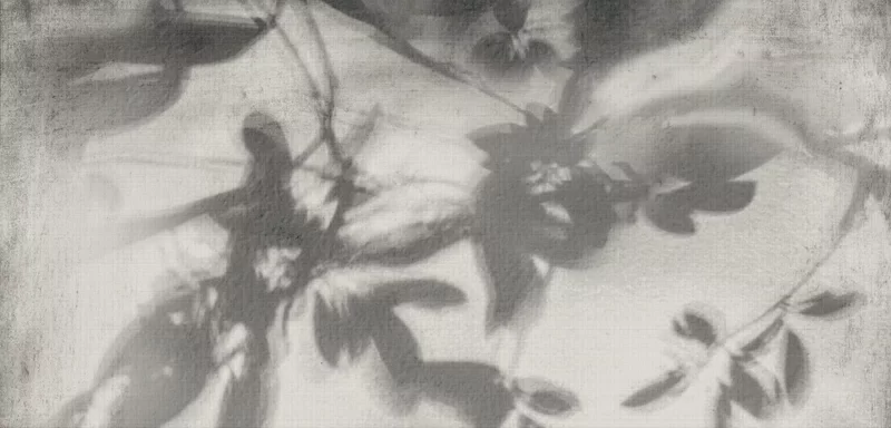 WIDE&STYLE SHADOW B PANNELLO A 60X120