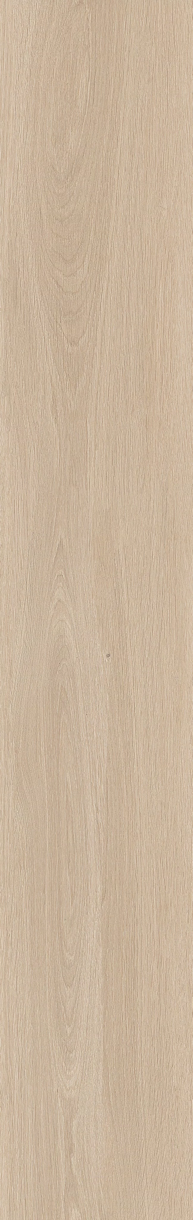 TABULAE REFINED FIENO 23,4X148_04