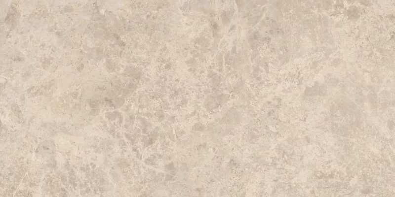 ERA DELICATE TAUPE 30X60_12