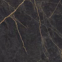 Carreau Epoque 2.0 Black par Gardenia&Ariana en noir, finition Naturel, 60x60, épaisseur 8.5 mm.