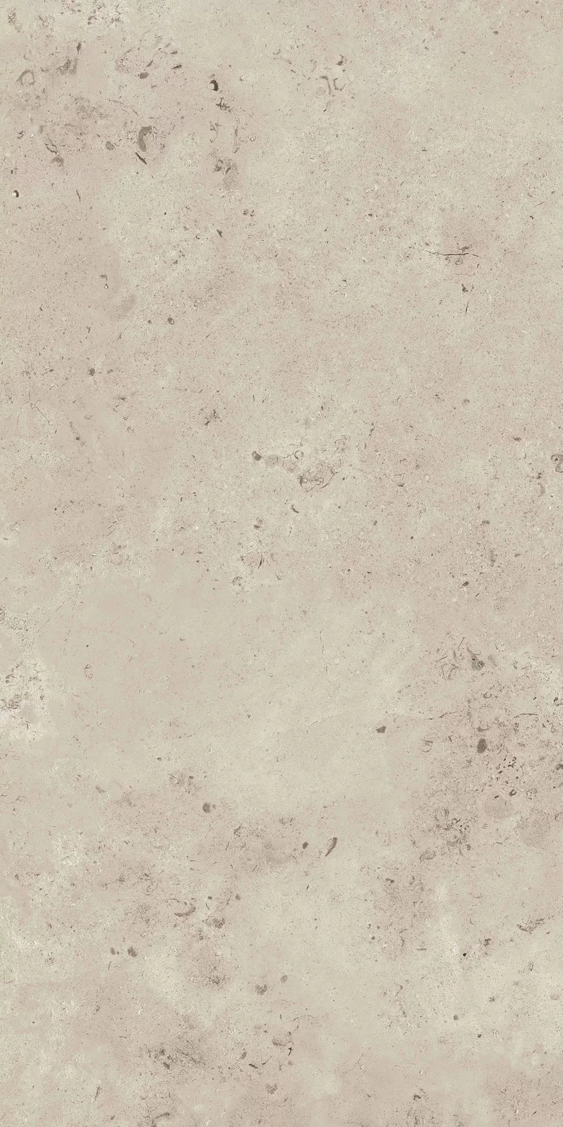 MEMENTO CAMARGUE IVORY 60X120_04