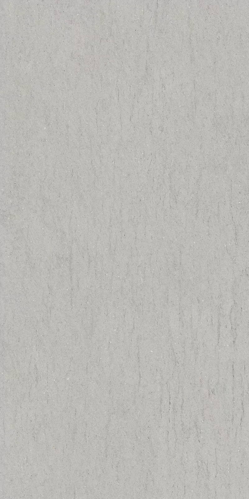 OUT.20 POETRY STONE RELOADED BASALTINA SILVER 60x120_05