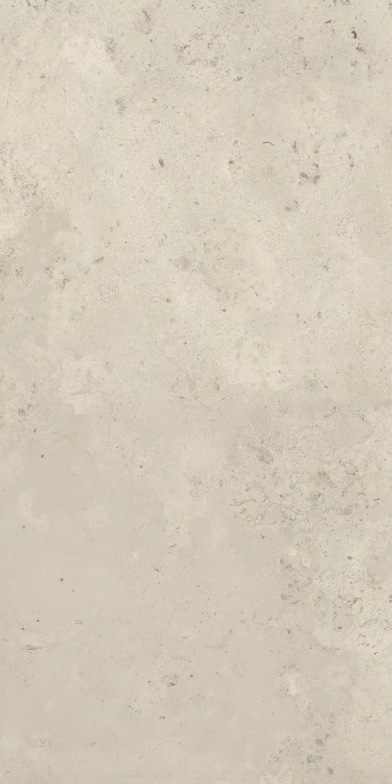 OUT.20 CAMARGUE IVORY 60X120_11