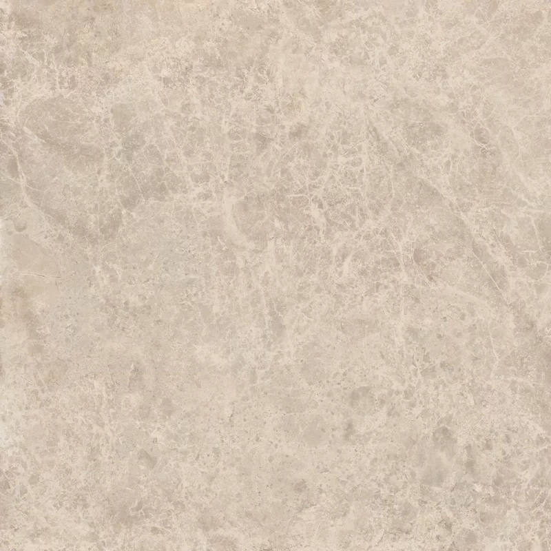 ERA DELICATE TAUPE 60X60_05
