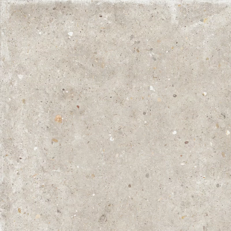 ANIMA BEIGE 60X60_10