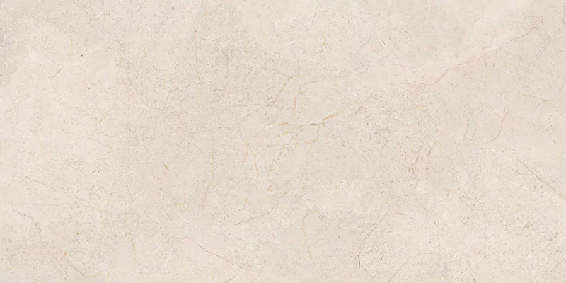 60X120 · Nat P.tech