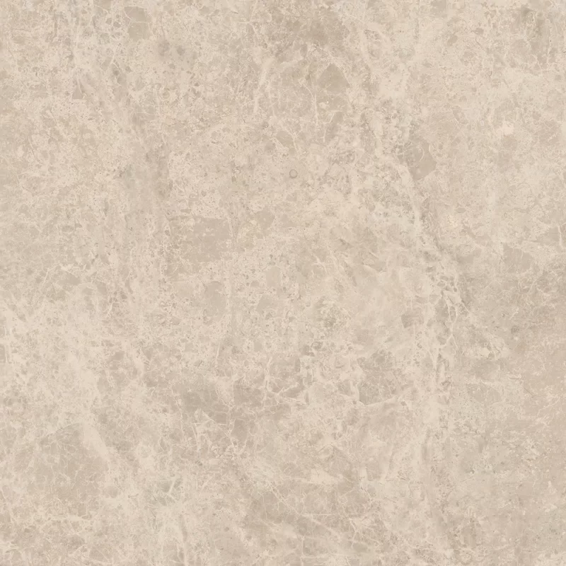 ERA DELICATE TAUPE 60X60_09