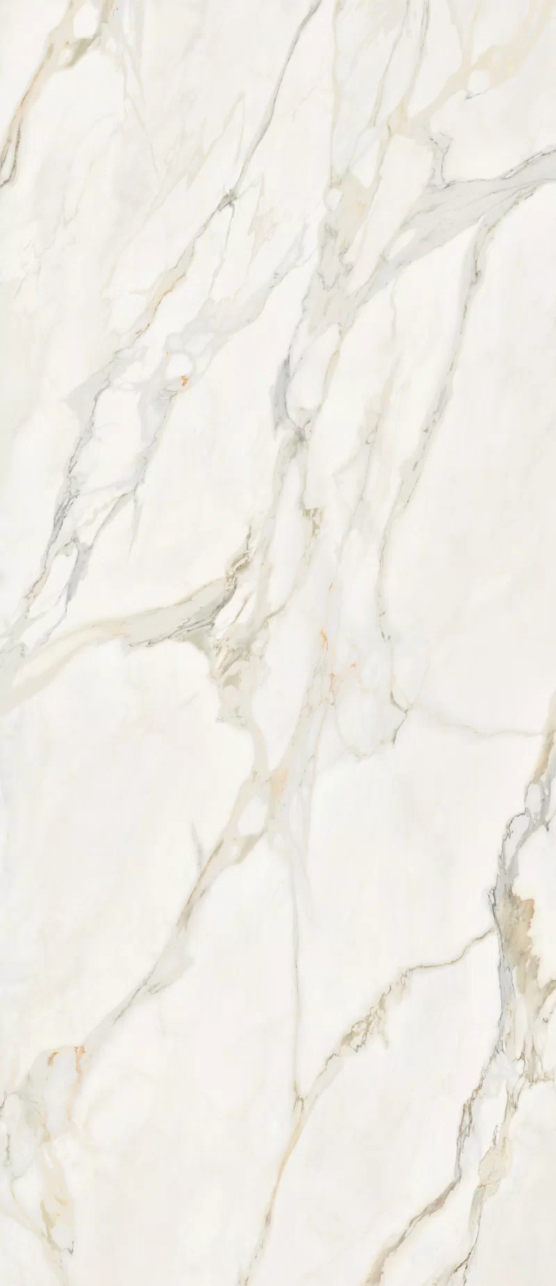 MARMOTECA_CALACATTA ELEGANCE_120X280_2